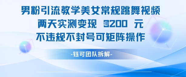 男粉引流教学美女常规跳舞视频两天实测变现1k+，不违规不封号可矩阵操作-LH资源分享网