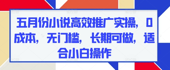 五月份小说高效推广实操，0成本，无门槛，长期可做，适合小白操作-LH资源分享网