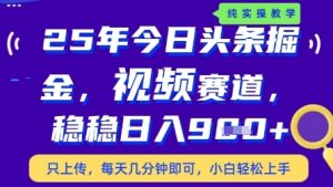 今日头条视频赛道最新玩法，每天十分钟，保底日入9张+【揭秘】-LH资源分享网