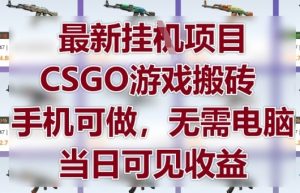 最新挂G项目，CSGO游戏搬砖，手机可做，无需电脑，当日见收益【揭秘】-LH资源分享网