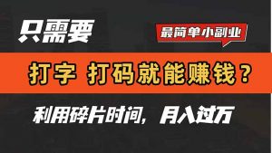 只需要打字，打码，就能赚钱？简单的赚钱小副业，利用碎片时间，月入过万-LH资源分享网