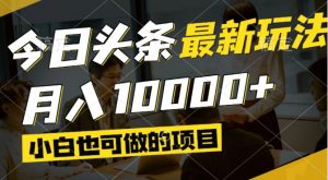 今日头条最新风口,视频掘金,小白也可月入过万,可以矩阵操作-LH资源分享网