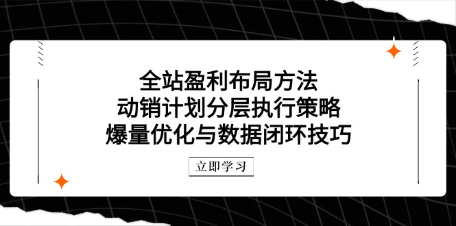 全站盈利布局方法：动销计划分层执行策略，爆量优化与数据闭环技巧-LH资源分享网