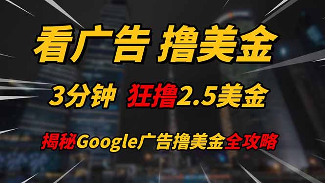 看广告，撸美金！！3分钟赚2.5美金！！日入200美金不是梦！揭秘Google…-LH资源分享网