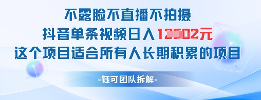 不露脸不直播不拍摄抖音单条视频日入1k+这个项目适合所有人长期积累的项目-LH资源分享网