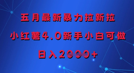 五月最新暴力拉新拉，小红薯4.0新手小白可做，日入多张-LH资源分享网