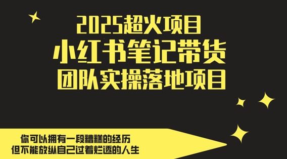 2025超火项目，副业最佳选择，小红书笔记带货团队实操落地项目，，轻松日入5张-LH资源分享网