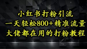 小红书打粉引流，一天轻松500+精准流量，大佬都在用的打粉教程-LH资源分享网