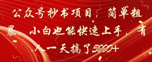 公众号抄书项目，简单粗暴，小白也能快速上手，有人一天搞了1k+-LH资源分享网