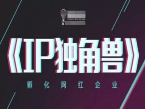 IP独角兽，孵化网红企业，ip教程-LH资源分享网