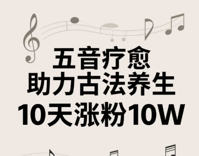 古法五音养生教程，五音疗愈的视频的制作方法，2-4小时就能学会，作者10天涨粉10W-LH资源分享网