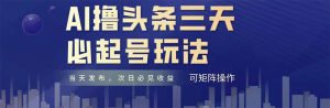 AI撸头条三天必起号，纯原创情感故事，每天搬砖十分钟，小白复制粘贴月…-LH资源分享网