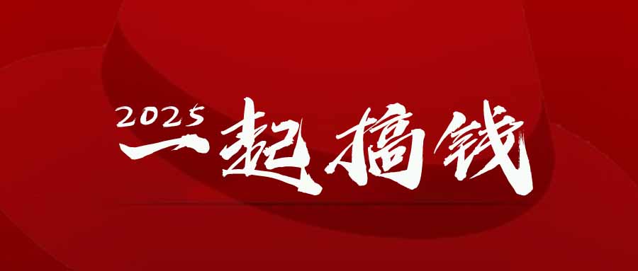2025年，请“不择手段”去搞钱!-LH资源分享网