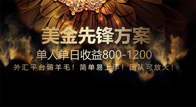 免费技术！小众赛道！一年布局抵三年努力，每日800+-LH资源分享网