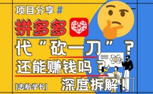 【2025最新】拼多多代坎助力项目深度拆解：还能挣钱吗?全流程玩法-LH资源分享网