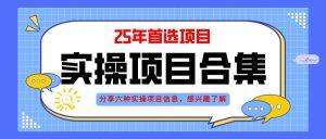 （14767期）2025年实操六大项目实操演练，挂机类型，AI直播类型，轻资产创业类型，…-LH资源分享网