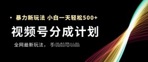 视频号分成计划,全网最暴力玩法,新手一天也能轻松5张+-LH资源分享网