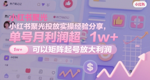 小红书聚光投放实操经验分享，单号月利润超1w+，可以矩阵起号放大利润-LH资源分享网