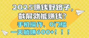 2025赚钱野路子,截屏就能赚钱?手机操作0门槛,一天躺赚600+!!!-LH资源分享网