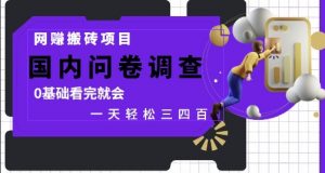 网创搬砖项目，国内问卷调查，0基础看完就会 一天轻松三四张，靠谱副业干就完了【揭秘】-LH资源分享网