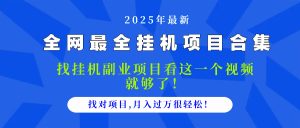 2025最全挂机项目合集 找项目看这一个视频就够了，做对项目月入过万很…-LH资源分享网