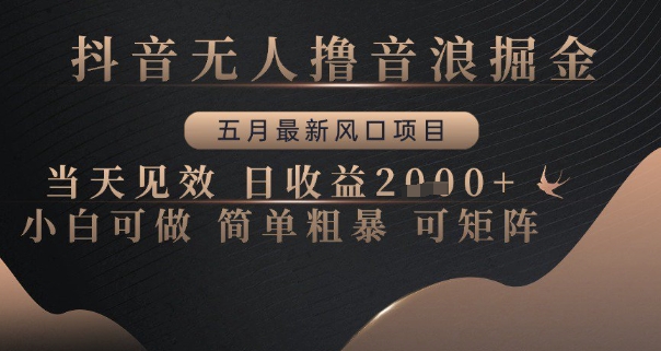 抖音无人撸音浪掘金，五月最新风口项目，当天见效，日收益多张，小白可做简单粗暴可矩阵【揭秘】-LH资源分享网