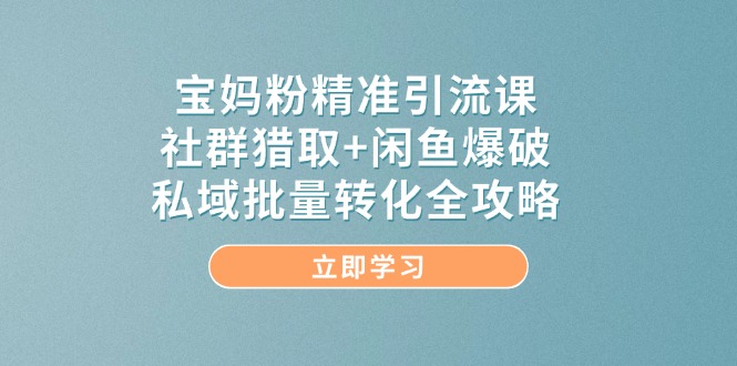 宝妈粉精准引流课，社群猎取+闲鱼爆破，私域批量转化全攻略-LH资源分享网