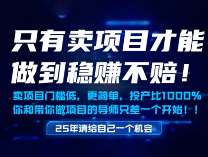 只有卖项目才能做到稳挣不赔，门槛低，更简单，你也可以年入百个W【揭秘】-LH资源分享网