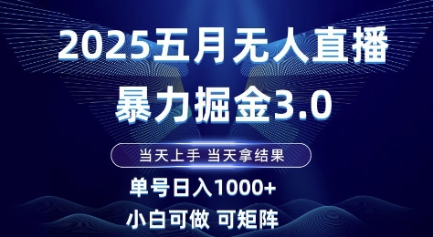 2025五月无人直播暴力掘金3.0，当天上手，当天拿结果，单号日入1k+小白可做可矩阵【揭秘】-LH资源分享网