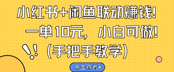 小红书+闲鱼联动挣钱，一单10元，小白可做-LH资源分享网