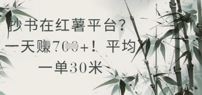 抄书在小红薯平台？平均一单30米，一天收益几张！-LH资源分享网