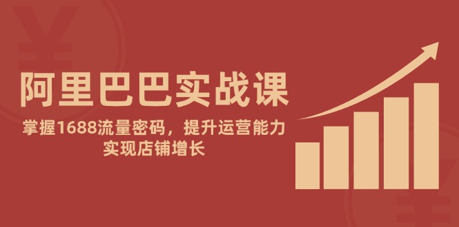 阿里巴巴实战课：掌握1688流量密码，提升运营能力，实现店铺增长-LH资源分享网