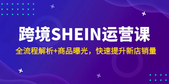 跨境SHEIN运营课，全流程解析+商品曝光，快速提升新店销量-LH资源分享网