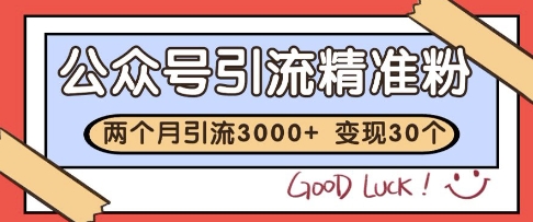 公众号精准粉引流玩法，2个月3000+精准粉，变现30个W【揭秘】-LH资源分享网