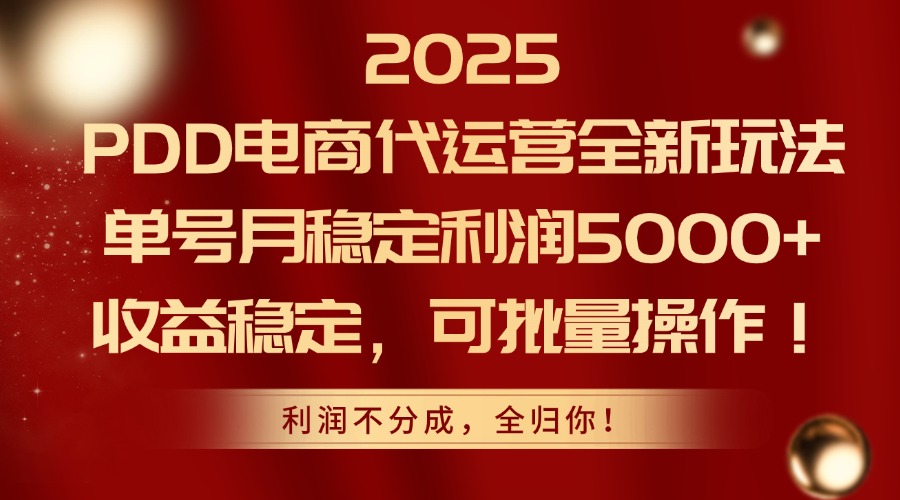 2025PDD电商代运营全新玩法，单号月稳定利润5000+，收益稳定，可批量操作-LH资源分享网