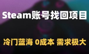 Steam账号找回项目，冷门蓝海，0成本，需求极大-LH资源分享网