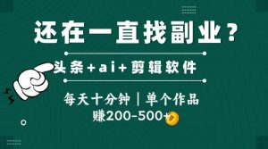 头条全新玩发加持软件搬视频，每天十分钟，单个作品收入200-500左右-LH资源分享网
