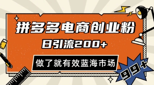 拼多多引流电商创业粉，日引200+，可矩阵放大，做了就有效【揭秘】-LH资源分享网