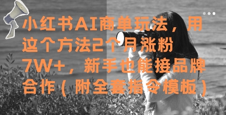 小红书AI商单玩法，用这个方法2个月涨粉7W+，新手也能接品牌合作(附全套指令模板)-LH资源分享网