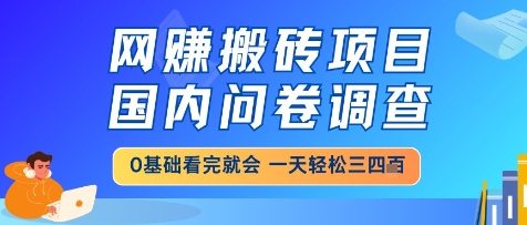 网创搬砖项目，国内问卷调查，小白轻松上手，一天三四张的也不难，干就完了【揭秘】-LH资源分享网