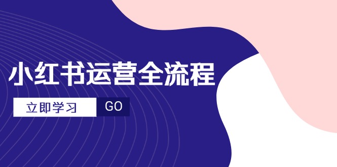 小红书运营全流程，爆款选题文案，视频制作技巧，进阶达人宝典-LH资源分享网