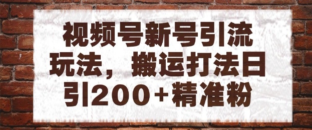 视频号新号引流玩法，搬运打法日引200+精准粉，可矩阵放大【揭秘】-LH资源分享网