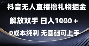 抖音无人直播撸礼物掘金，解放双手，日入1k，0成本纯利，无基础可上手【揭秘】-LH资源分享网