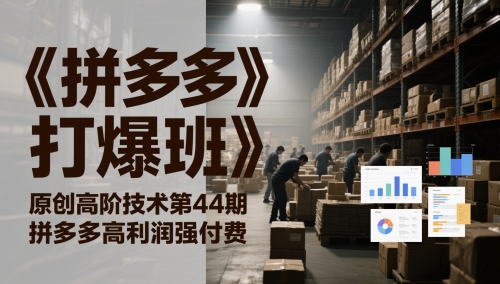 《拼多多打爆班》原创高阶技术第44期，拼多多高利润强付费-LH资源分享网