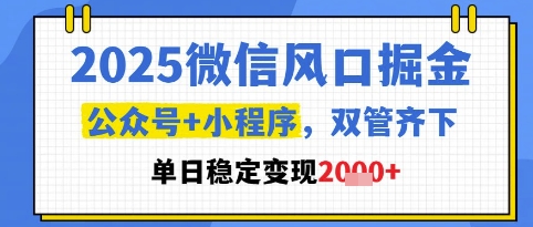2025微信风口掘金，公众号+小程序双管齐下，单日稳定变现1k+【揭秘】-LH资源分享网