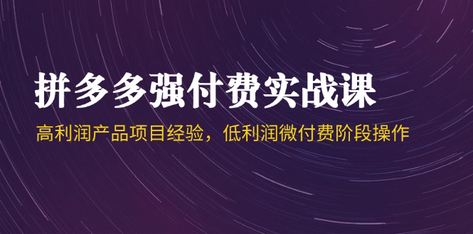 拼多多强付费实战课-44期，高利润产品项目经验，低利润微付费阶段操作-LH资源分享网