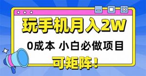 玩玩手机月入20000+,0成本小白必做项目,可矩阵-LH资源分享网