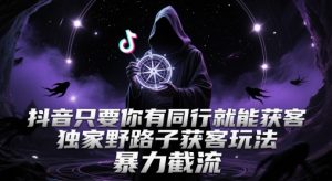 抖音只要你有同行就能获客，独家野路子获客玩法，暴力截流【揭秘】-LH资源分享网