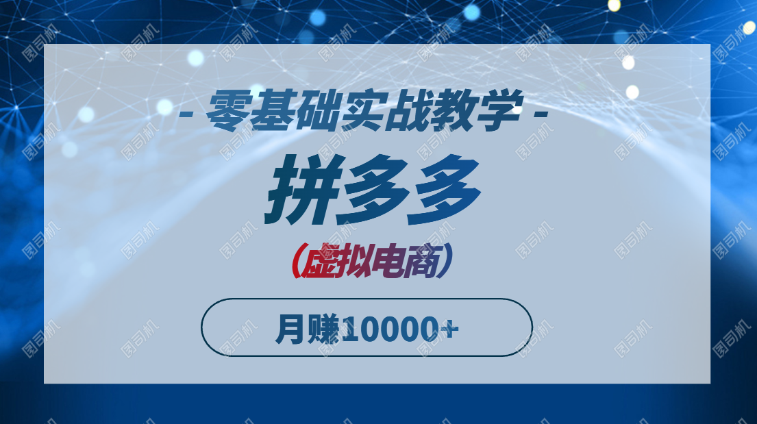 拼多多虚拟电商，零基础实战教学，快速打爆商品，新手也能月入10000+-LH资源分享网