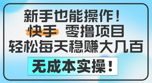新手也能操作，快手零撸挣米，轻松每天挣2-5张，完全无成本-LH资源分享网